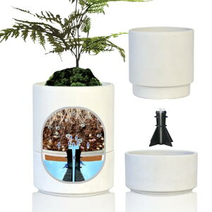 GreenShip z@ 3 ^@э׊ǌێ@v^[ Mt ϗtA Ap  풲 y ɂ c[gfUC