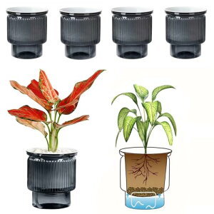 Coollooda v^[ 4Zbgʋ d\   t Ђt rO fXN Lb` gC    A ϗtA  JN^Xp n[u Ԕ