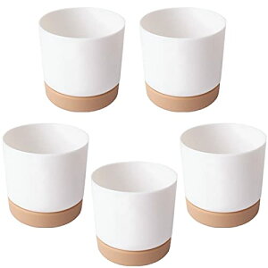 3world k ~j v^[ ې@\ g[t Vv Ȃׂkawaii Aؔ SW1738TCYSS(5Zbg)