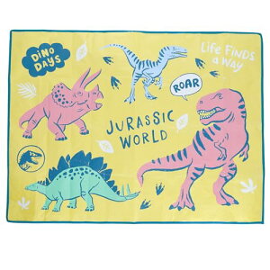  W[V[g TCY WVbN[h _Ci[tY 2~3lp ǂ RpNg qǂ q  ^  j̎q 4985007200