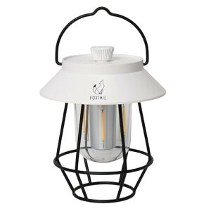 FOXTAIL(tHbNXeC) LED^ Tohka(gEJ) LvCg gFEFEF 3Fؑ Px xiK ݂艺 350[ (zCg)