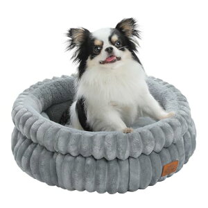 PAWZ Road ybgxbh xbh}bg p Lp 􂦂 lC ^ ^ L  ~ h΍ ybgNbV  ӂӂ ~ I[V[Y łjȂ h[ic