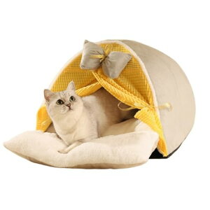 Stewlt L xbg pxbh ybg xbh L xbh h[^ gt ybgxbh  g LnEX 􂦂 NbVt ybgnEX   ^xbh hۉ L