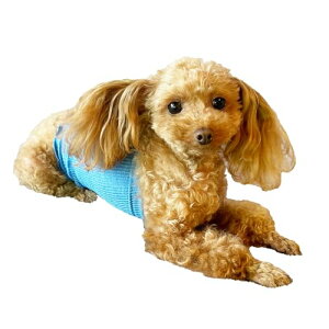 Panfree Cotton͂܂ LTCY ۃO[ ybgp p  Rbg͂܂ hbOEFA ₦h~ Rbg  ͂܂  ybg ybg ybgEFA VjA yb