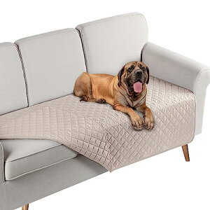 TAOCOCO \t@pbh \t@Jo[ \t@[V[g }`Jo[ xbhJo[ h o[Vu L΍ єsS ho h~ h~ ܂Ƃh~ rh~ lGKp H ې