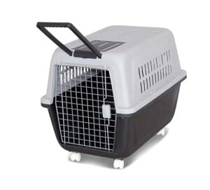 qρ_msmr ybgL[ n[hL[ vX`bN IATASNA LX^[t t s ybgpL[ ybg n[hL[  ^ ^  HKX01-XL