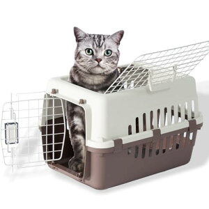 v`o ybgL[ _uhA DX50 uE Lp ^p ^p p 5kg܂ MTCY s50 x 35 x 32cm L 