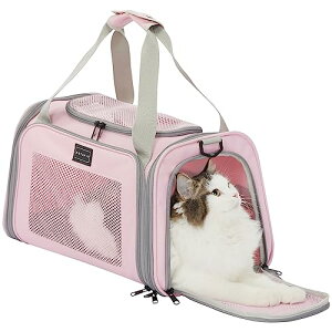 PETSFIT L L[ obO ybgL[ obO  L[obO E^LpE^Ep ό`Ȃ ԍ/hCu/LsO/s/ʉ@/ЊQp sN STCY