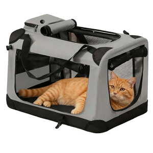 ybgL[ obO  L L[P[X ܂肽 ^ ʋC LCȂ ^ ^L \  Xgbv [|Pbgt ԍڑΉ ЊQ ȈՏh AEghA a@