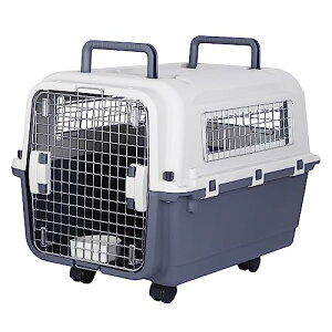 JungleA ybgL[  N[g LX^[t  L[P[X  oP oPl ^ ^ ^ ybgN[g vX`bN  V s@ qA{bNX