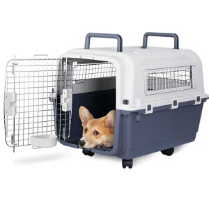 Epetlover ybgL[  N[g  ^ ^  R[M[ r[O Č ybgN[g L[P[X n[hN[g L[obO  p  V @