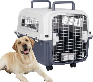 BBBuy N[g  ^ ^ ^ L ybgL[ oP oPl  p ԑΉ V L[P[X n[hN[g ybgN[g L[obO ^