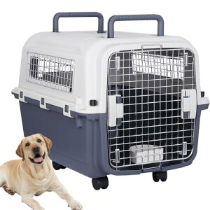 BBBuy N[g  ^ ^ ^ L ybgL[ oP oPl  p ԑΉ V L[P[X n[hN[g ybgN[g L[obO ^