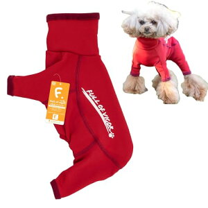 _bNX hbOvC N bVK[h 2022No[W Vђ ̕ tIurK[ 3/bh DL