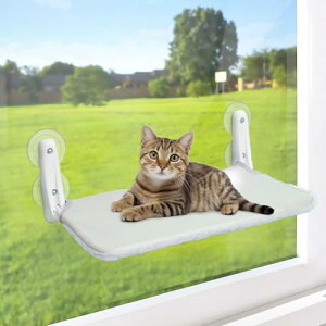 y2024NvV^zL nbN L pnbN zՎS ω׏d25kg ܂ݎ L nbN  xbg 􂦂 pLnbN Lxbh lGp ̏ꏊɓ\Lpn