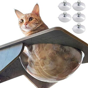 POOKIE L  nbN XPg xbh Lxbh FD Lbg^[ z t