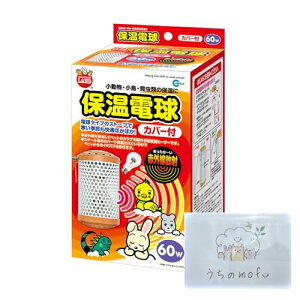 }J ~j}h ۉd 60W Jo[t q[^[ nX^[ ybg CR    pq[^[ + mofueBbVt