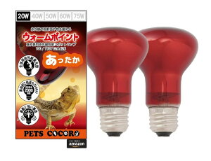 ԊOƎ˃X|bgv 20W E26 100/110V i2000 iTO[ q[gO[ Ctbh q[gv q[^[݊Ήj (2Zbg)