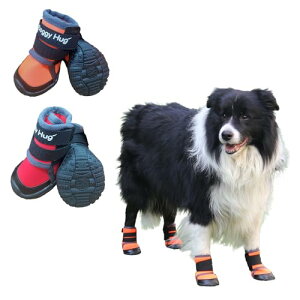 ^`^p C yʃu[c IW 55 2̔ h h  Doggy Hug hM[nO