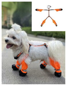 Homie Pettie pbOJo[ pTXy_[u[c Ԕf pu[c pV[Y  CV[Y ppc ~ h ⏕Xgbvt veN^[ ی 