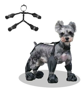 Homie Pettie pbOJo[ pTXy_[u[c Ԕf pu[c pV[Y  CV[Y ppc ~ h ⏕Xgbvt veN^[ ی 