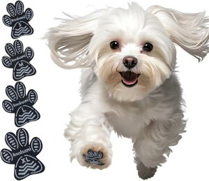  ~ V[ V⏕ p~߃pbh S͂ Lk ϋv ]|h~  ی h~ t[Oׂ~ gNVɒ񋟂 