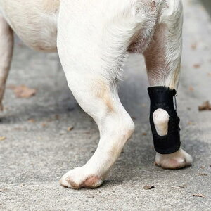 Ourkens ybg GT|[^[ e[v T|[^[  p e _ ߉\ Xgbv rJo[ pi ybgpi ubN 1 XL