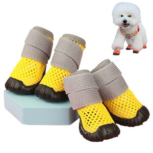 [GIIPET]C bV yʒʋC ^pu[c RۖhL z 2dXgbv ₷ Eɂ ~ ϋvS bVV[Y U J̓ ̓ ̉h~ n