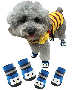 ASMPET p C  ی h~ hbOu[c C t  ʋC ̂U  V[Y ~ J̓  C q ^ 킢 hbOu[c C hbOV[Y U  