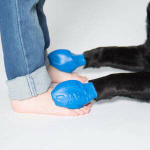 PAWZ pEY hbOu[c MTCY 4iu[j