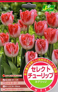 yԋz ZNg`[bv lObW 3 JlRc̋