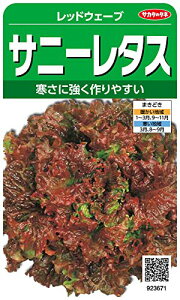 TJ^̃^l 3671 Tj[^X bhEF[u 00923671