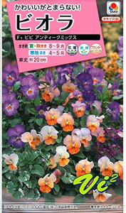 ^LCc rIF1 rr AeB[N ~bNX