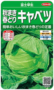 TJ^̃^l 2070 H܂tǂLxc xm 00922070