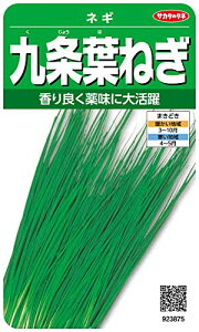 TJ^̃^l 3875 t˂ lM 00923875