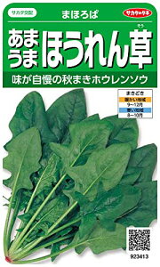 TJ^̃^l 3413 ܂܂ق ܂ق 00923413