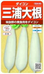 �T�J�^�̃^�l ������5077 �O�Y�卪 �_�C�R�� 00925077