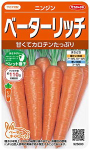 TJ^̃^l 5600 x[^[b` jW 00925600