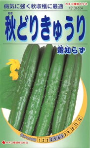 JlRc |E KS100V[Y Hǂ肫イ m炸 100 554