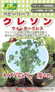 JlRc |E KS100V[Y N\ EH[^[NX 100 707