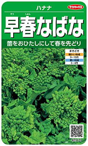 TJ^̃^l 3170 tȂ΂ nii 00923170