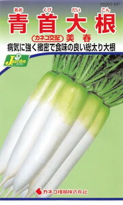 JlRc |E KS300V[Y 卪 300 241