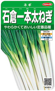 TJ^̃^l 3870 Αq{˂ lM 00923870