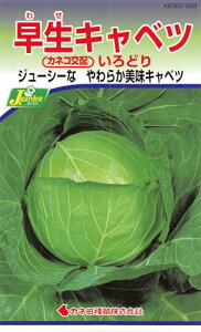 JlRc |E KS300V[Y Lxc ǂ 300 252