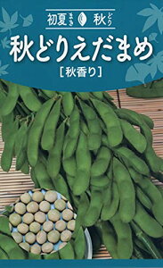 Ѓg[zN Hǂ肦܂ H 04561