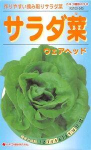 JlRc |E KS100V[Y T_ EFAwbh 100 545