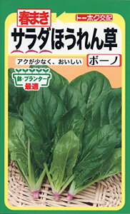 Ѓg[zN t܂T_ق {[m 06272