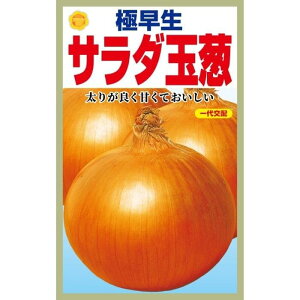 ɑ T_ʂ˂̎ 肪悭ÂĂ