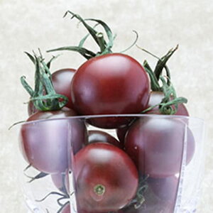 ITANSE Ԃǂ̂悤ȐH Ɏ|gXJ[ioCIbgE~jg}g̕c ؕc 10.5cm|bg c 3.5 2ZbgyiőIׂؕcz }E̒nCg}g