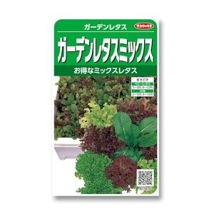 TJ^  K[f^X~bNX ^X̎  tHp ƒ؉ xr[[t ~bNX^X ͔|pq 藦ǍD nȒP v^[͔| ӏܗp^X Ԓdpt L